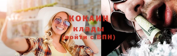 spice Няндома