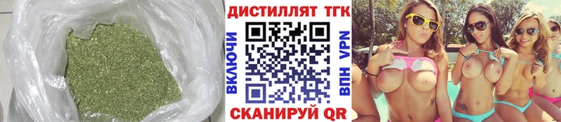ОМГ ОМГ ссылка  Судогда  ТГК THC oil 